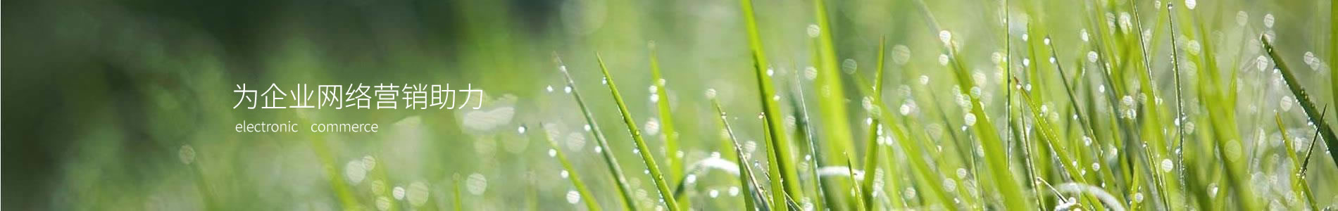 ڷܽƷ޹˾